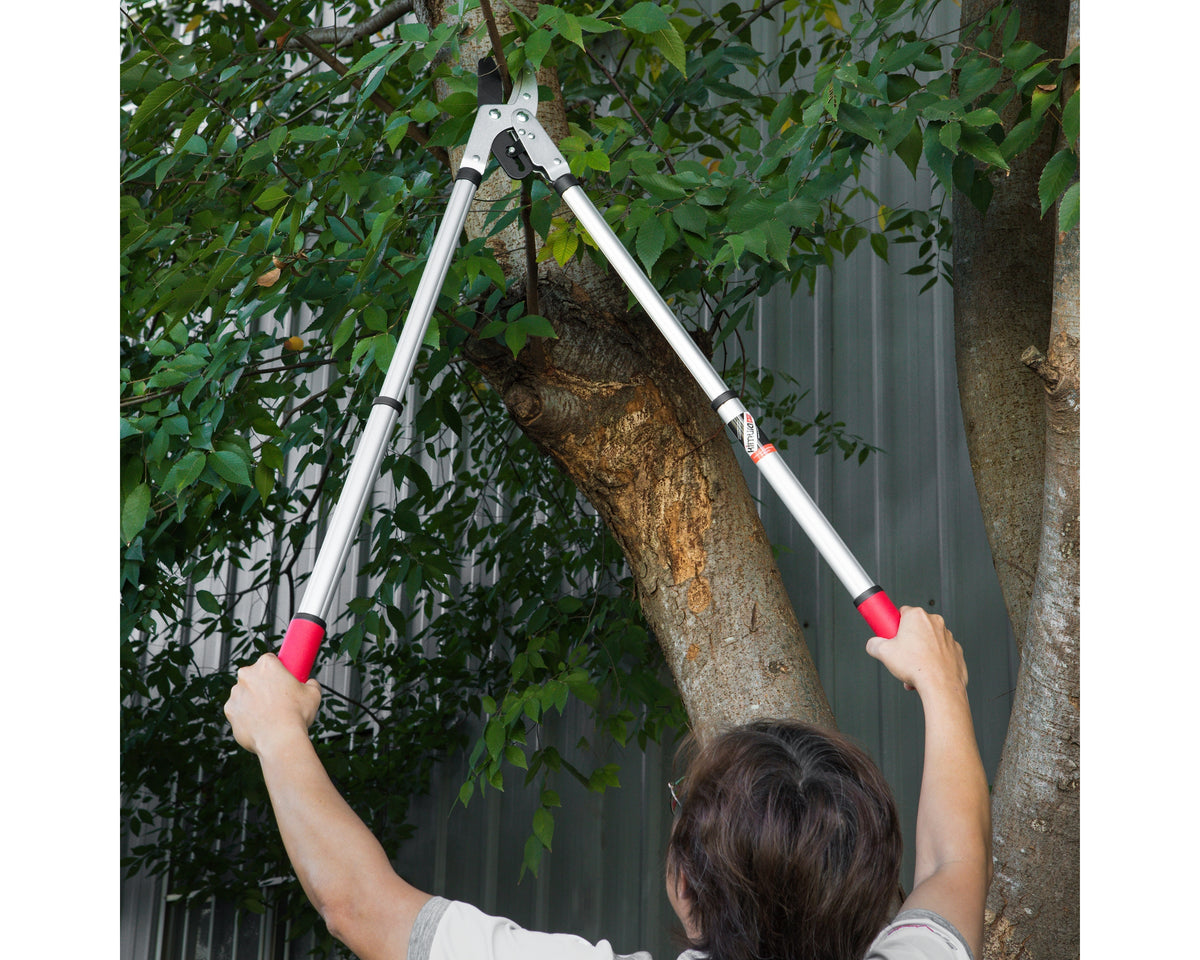 Pro Telescopic Ratchet Loppers