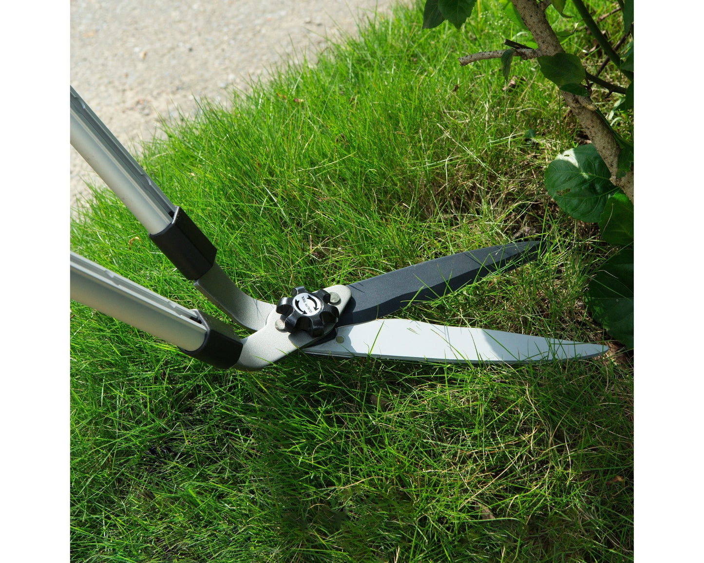 Pro Lawn Shears