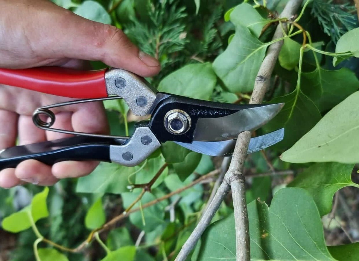 Samurai 8” Pruning Shears