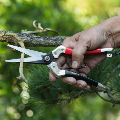 Samurai 8.3" Pruning Scissors