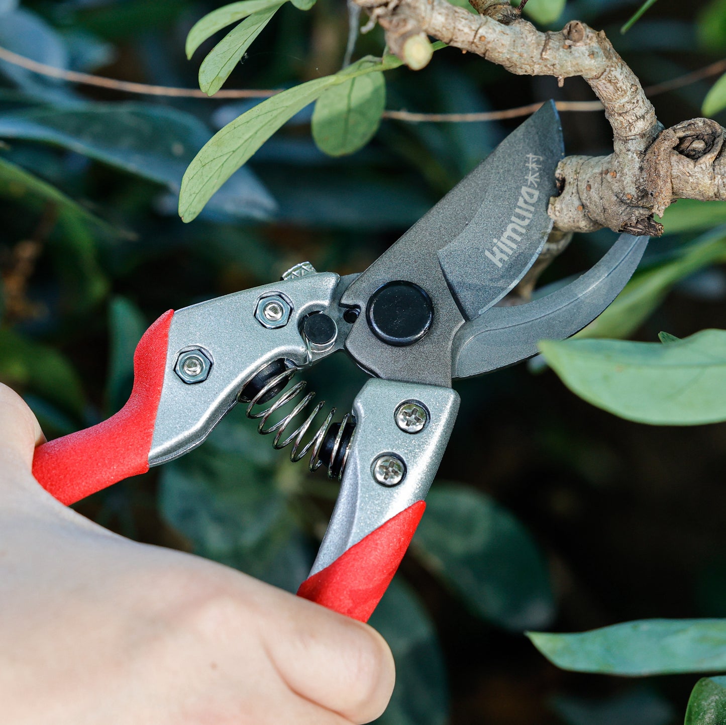 Pro 8” Pruning Shears