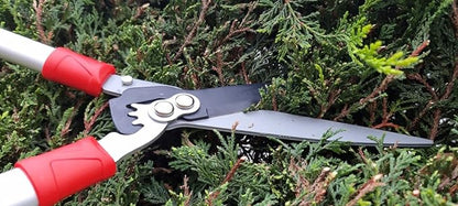 Pro Hedge Shears