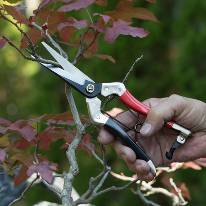 Samurai 8.3" Pruning Scissors