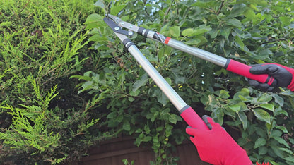 Pro Telescopic Compound Loppers